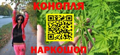 индика Ливны
